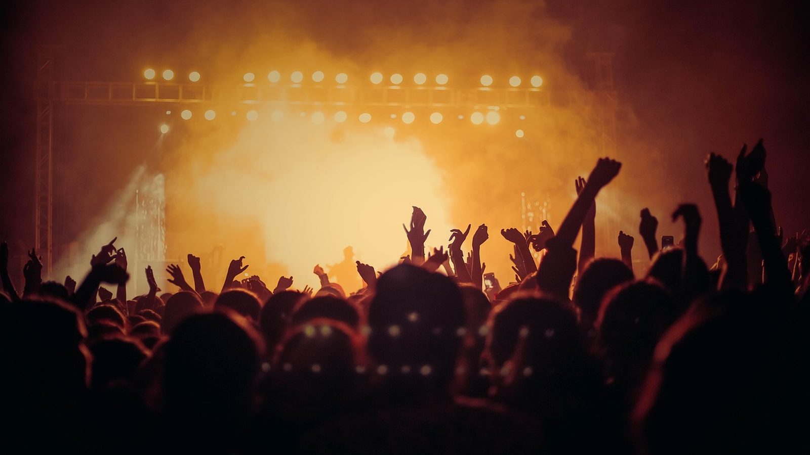 Silhouetted crowd with raised hands at a night party